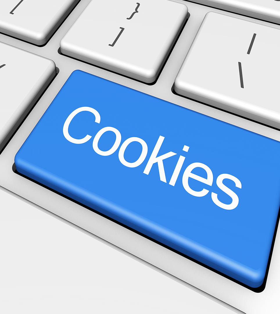 CASTLE INN WEBSITE COOKIE POLICY