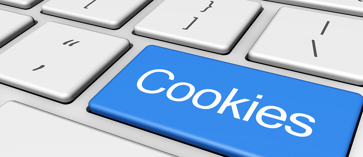 CASTLE INN WEBSITE COOKIE POLICY